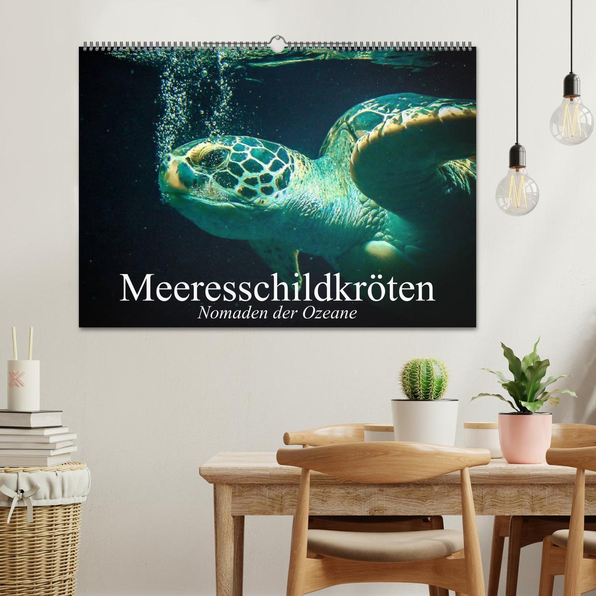 Bild: 9783435588541 | Meeresschildkröten. Nomaden der Ozeane (Wandkalender 2025 DIN A2...