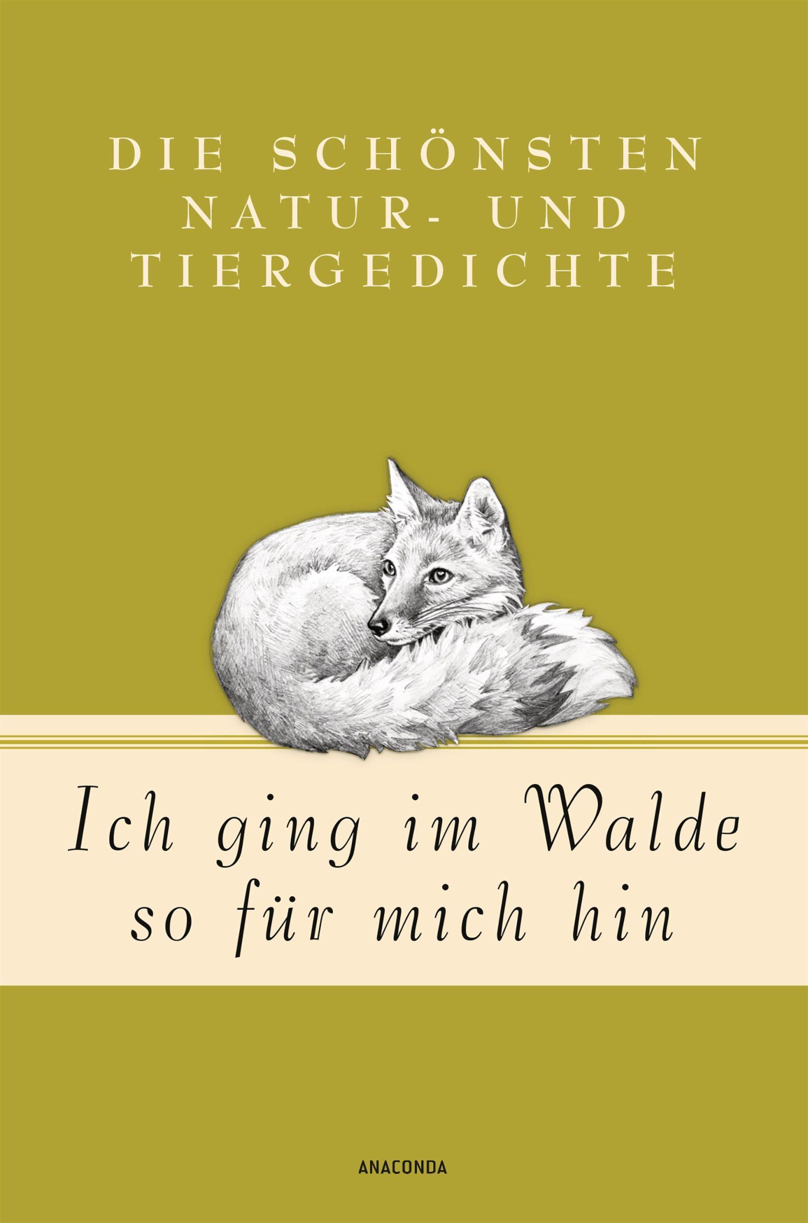 Cover: 9783730607091 | Ich ging im Walde so für mich hin | Jan Strümpel | Buch | 256 S.