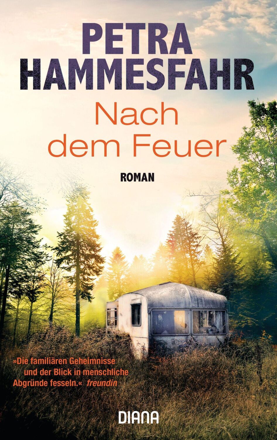 Cover: 9783453361096 | Nach dem Feuer | Roman | Petra Hammesfahr | Taschenbuch | 464 S.