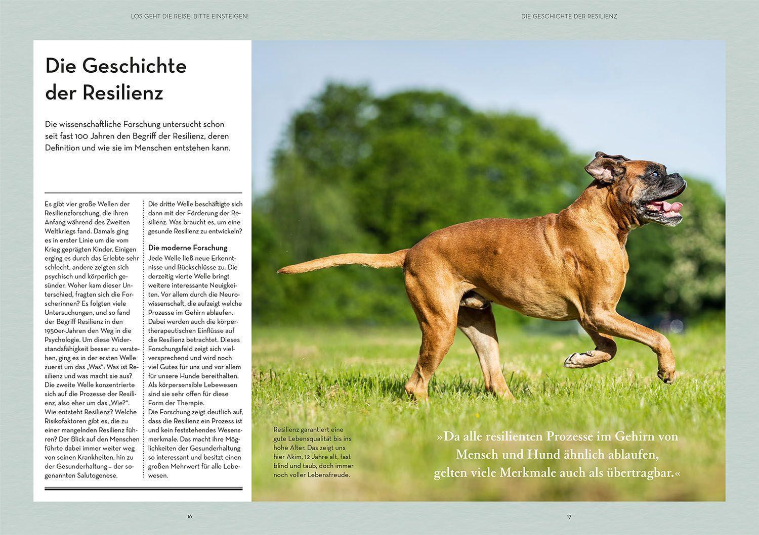 Bild: 9783440172933 | Resilienz bei Hunden | Vanessa Engelstädter | Taschenbuch | 192 S.