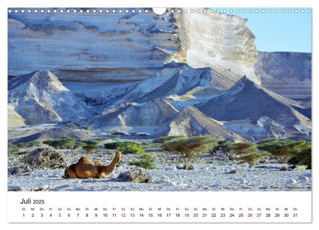 Bild: 9783435072354 | KAMELE... eine Reise durch den Oman. (Wandkalender 2025 DIN A3...