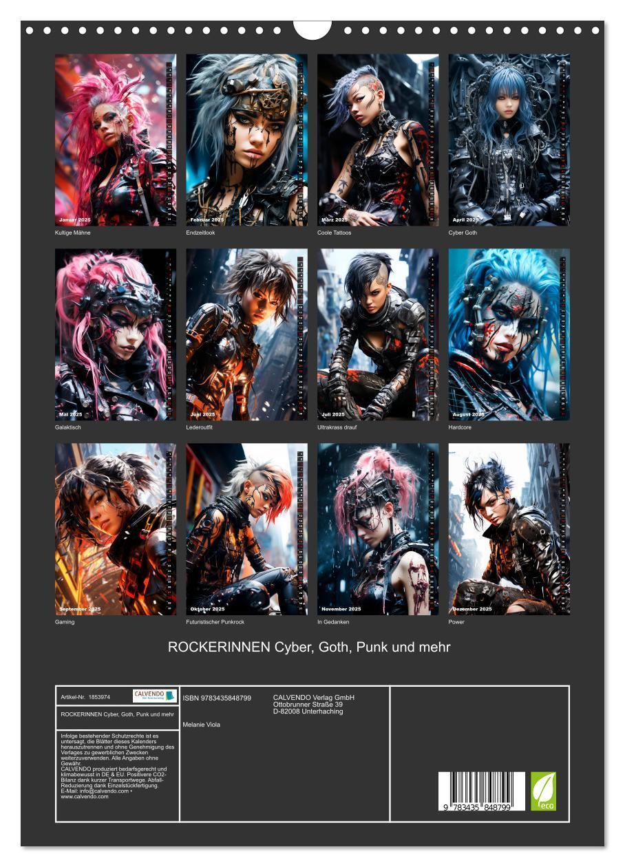 Bild: 9783435848799 | ROCKERINNEN Cyber, Goth, Punk und mehr (Wandkalender 2025 DIN A3...