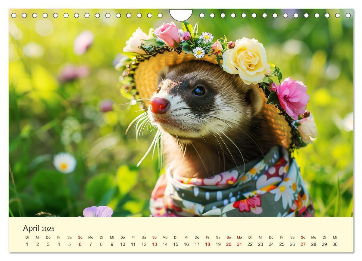 Bild: 9783435719921 | Kecke Marder. Charmante und niedliche Fashion-Ikonen (Wandkalender...