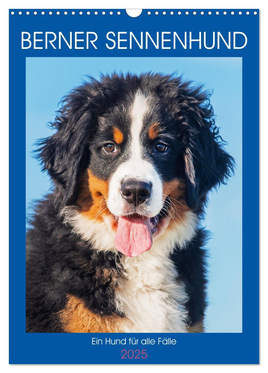 Cover: 9783457159194 | Berner Sennenhund - Ein Hund für alle Fälle (Wandkalender 2025 DIN...