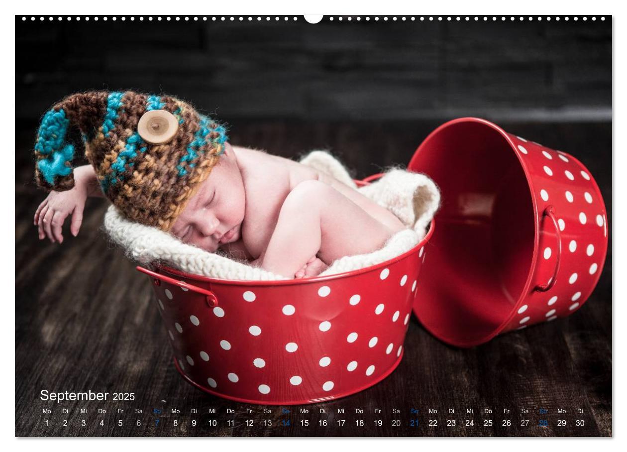 Bild: 9783435645022 | Baby - süße Träume (Wandkalender 2025 DIN A2 quer), CALVENDO...