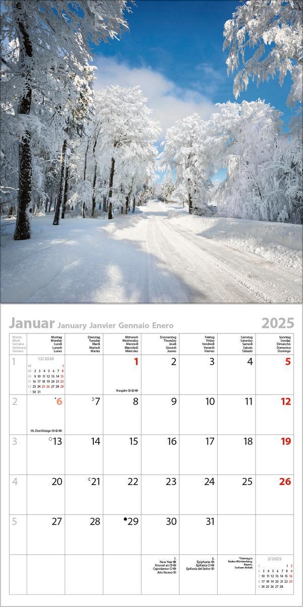 Bild: 9783731875529 | Magische Wälder 2025 | Verlag Korsch | Kalender | 13 S. | Deutsch