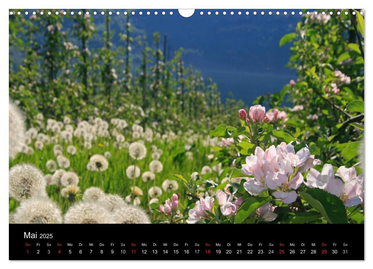 Bild: 9783435795321 | Norwegen 2025 (Wandkalender 2025 DIN A3 quer), CALVENDO Monatskalender