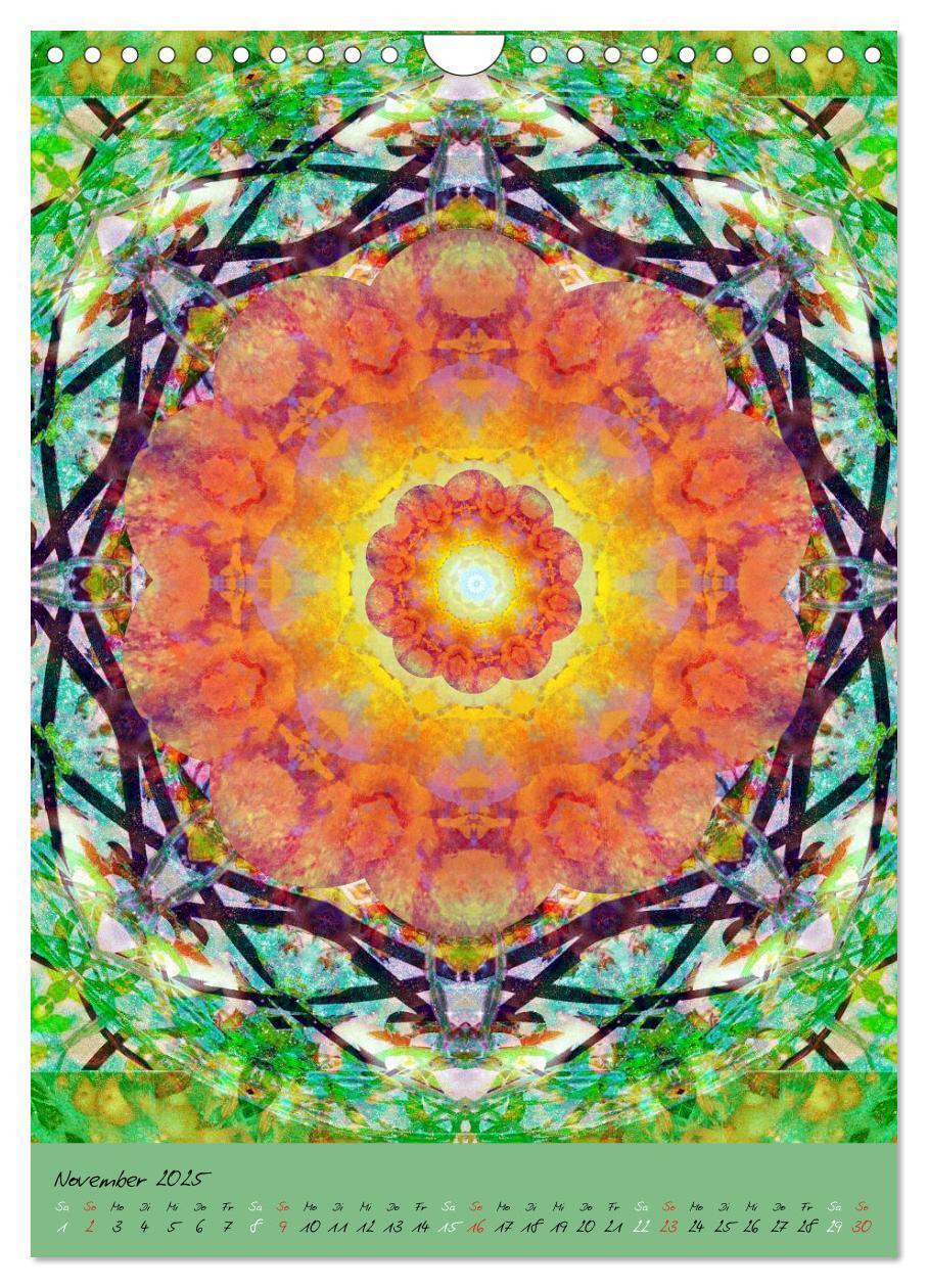 Bild: 9783457043004 | MANDALAS der Natur (Wandkalender 2025 DIN A4 hoch), CALVENDO...