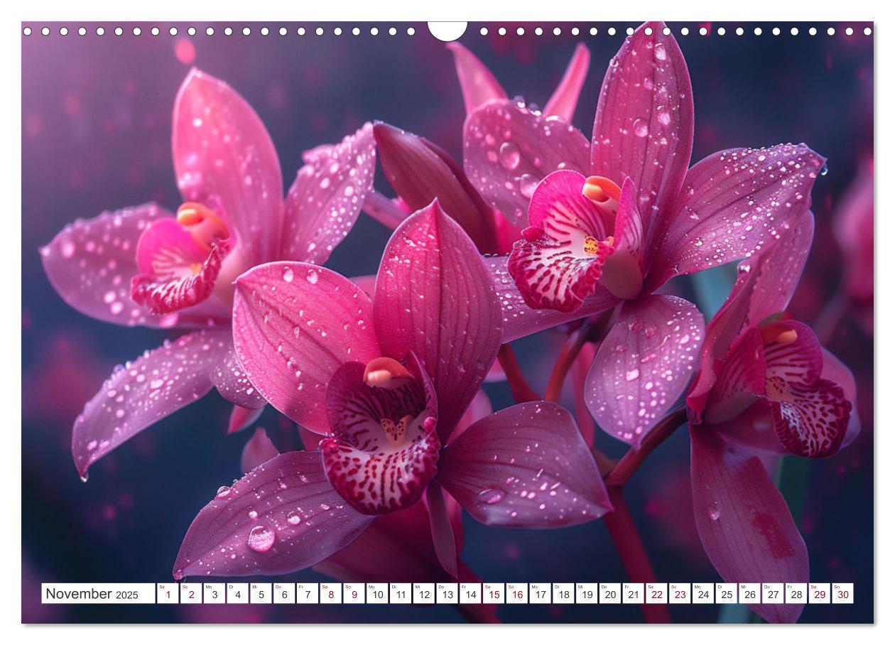 Bild: 9783457165126 | Orchideen - farbenfroh durchs Jahr (Wandkalender 2025 DIN A3 quer),...