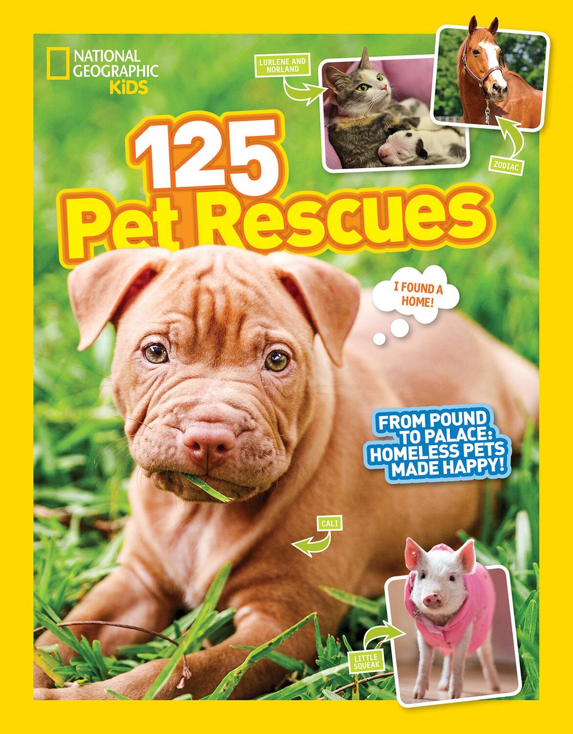 Cover: 9781426327360 | 125 Pet Rescues | From Pound to Palace: Homeless Pets Made Happy