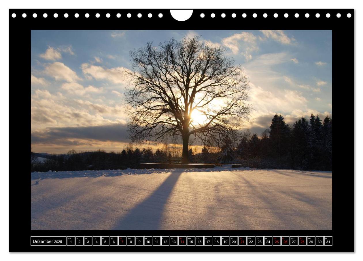 Bild: 9783435820610 | Odenwald - Landschaft sehen (Wandkalender 2025 DIN A4 quer),...