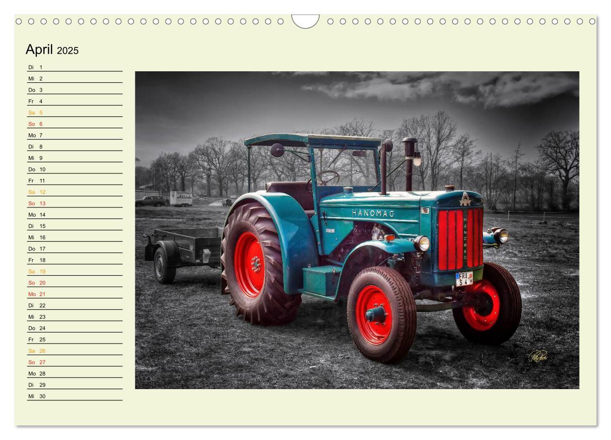 Bild: 9783435586202 | Traktoren - Oldtimer (Wandkalender 2025 DIN A3 quer), CALVENDO...