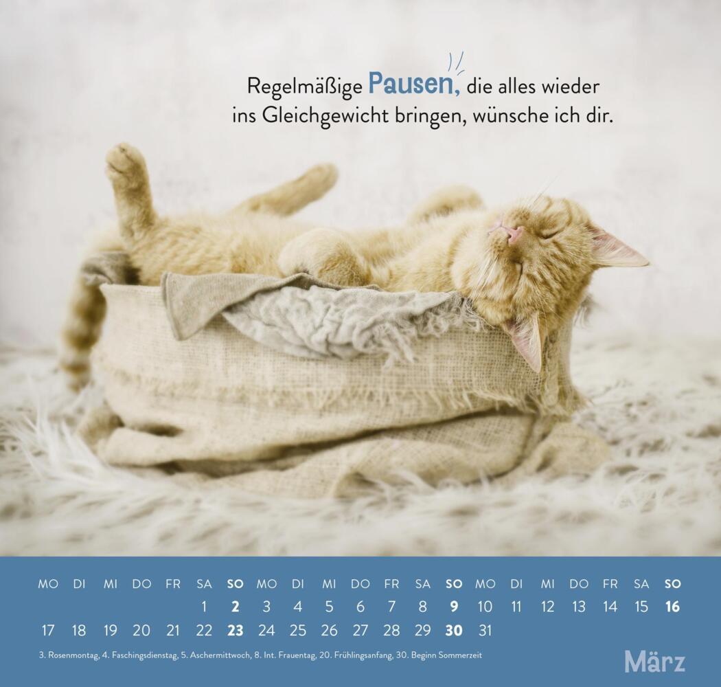 Bild: 4036442011898 | Wandkalender 2025: Einfach mal abhängen | Groh Verlag | Kalender