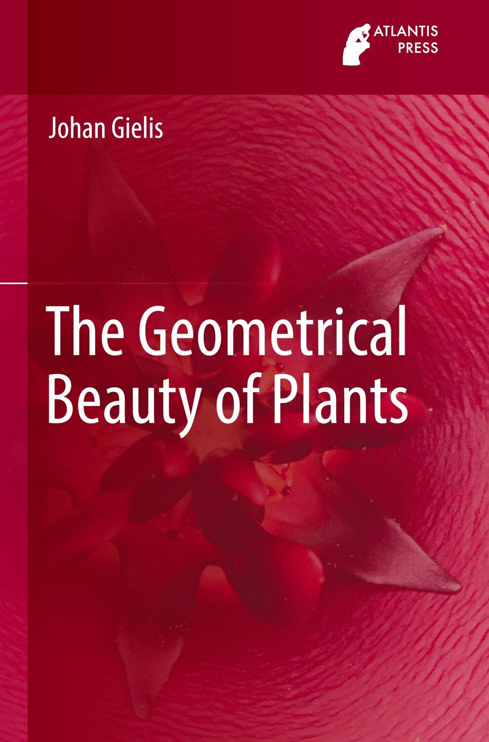 Cover: 9789462391505 | The Geometrical Beauty of Plants | Johan Gielis | Buch | xxv | 2017