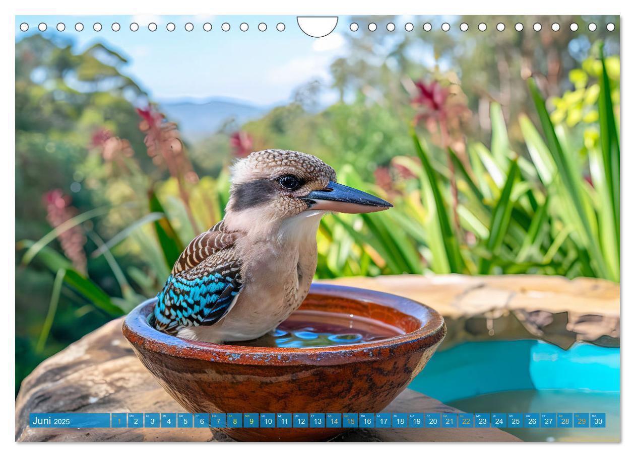 Bild: 9783383777875 | Der Kookaburra - Im australischen Busch mit dem lachenden Hans...