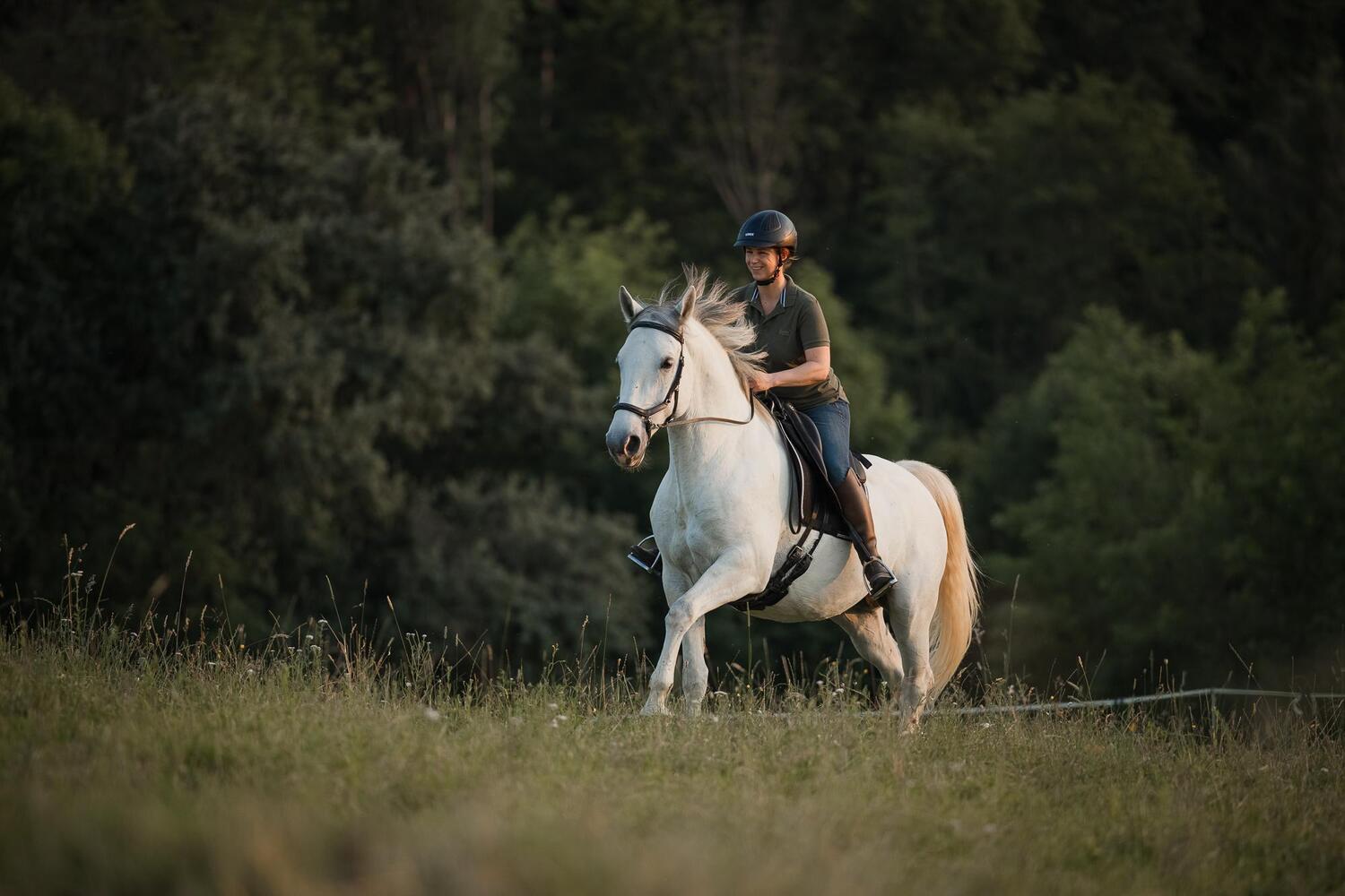 Bild: 9783275023011 | Einfach (An)Reiten | Anreiten und Training selbst in die Hand nehmen