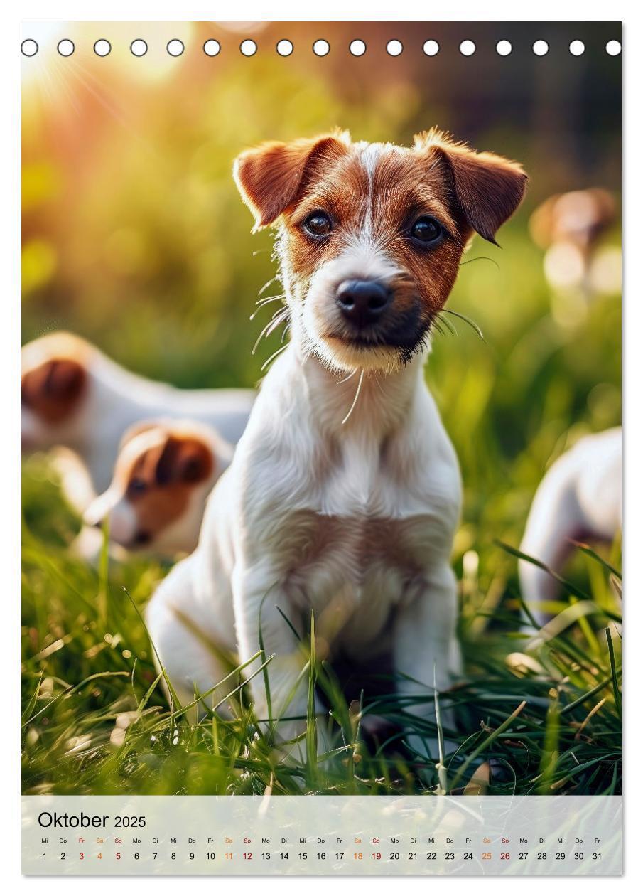 Bild: 9783383778865 | Jack Russel Terrier - furchtlos und viel Selbstvertrauen...