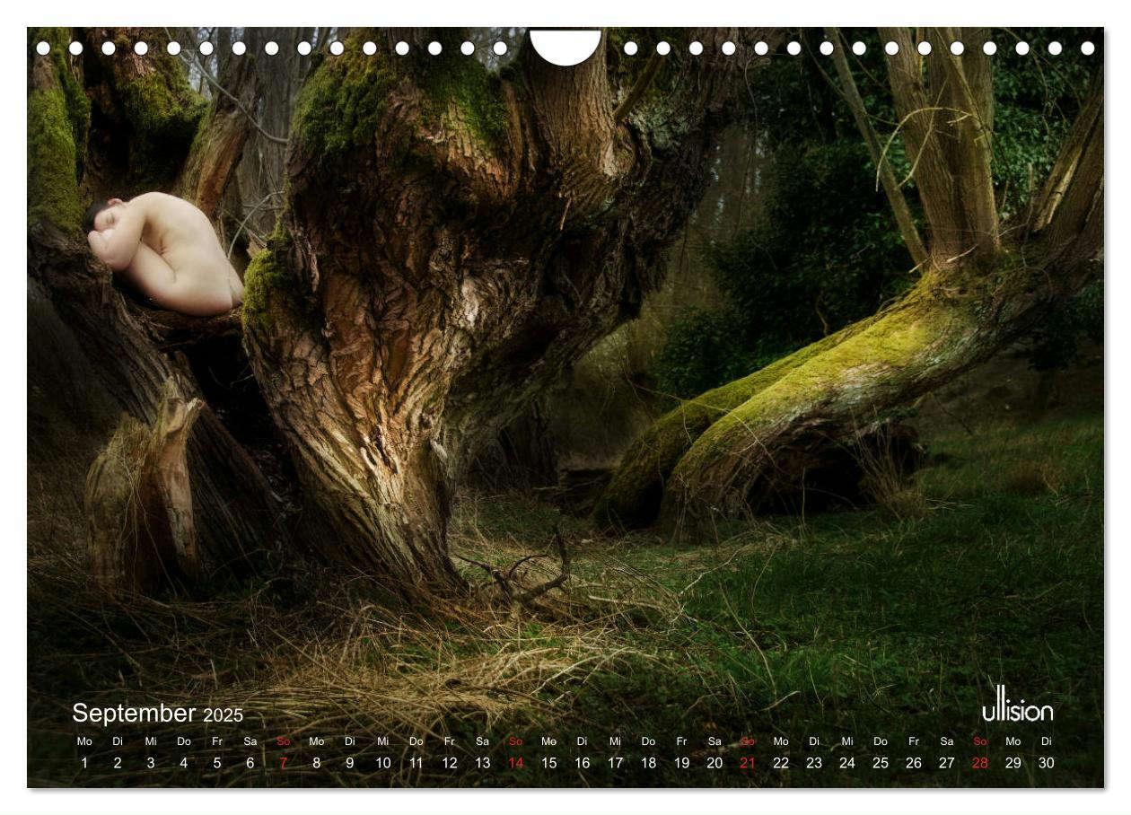 Bild: 9783435337989 | Lieblingsbäume - eins mit der Natur (Wandkalender 2025 DIN A4...