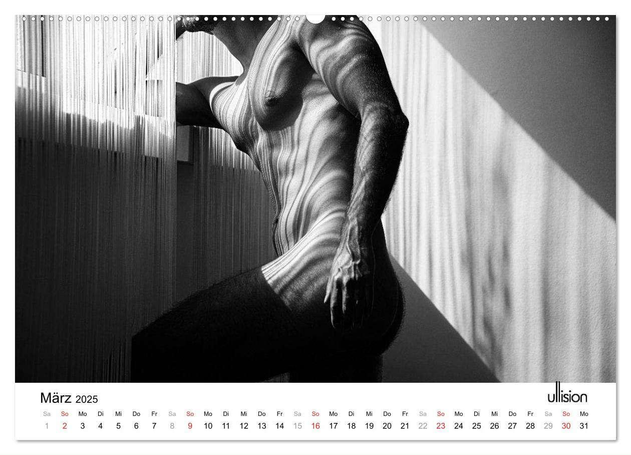 Bild: 9783435565276 | Männer AKT Art (Wandkalender 2025 DIN A2 quer), CALVENDO...