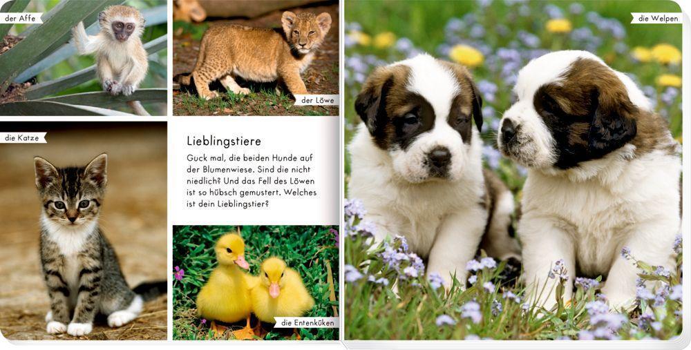 Bild: 9783649641452 | Meine liebsten Tierbabys | Buch | 28 S. | Deutsch | 2022