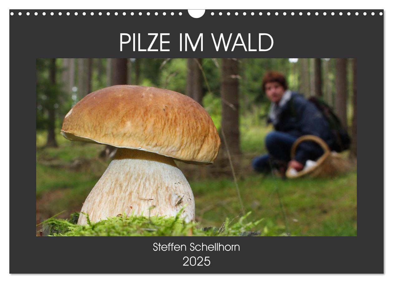 Cover: 9783435078646 | PILZE IM WALD (Wandkalender 2025 DIN A3 quer), CALVENDO Monatskalender