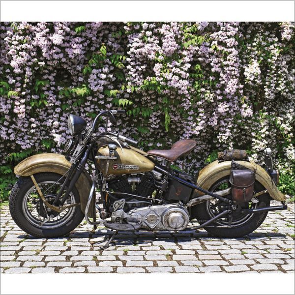 Bild: 9783731876342 | Dreambikes 2025 | Korsch Verlag | Kalender | Englisch Broschur | 13 S.