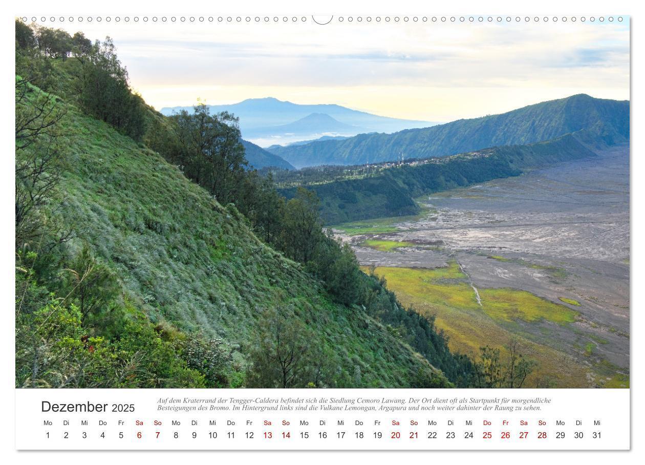 Bild: 9783435043163 | JAVA Natur pur (Wandkalender 2025 DIN A2 quer), CALVENDO...