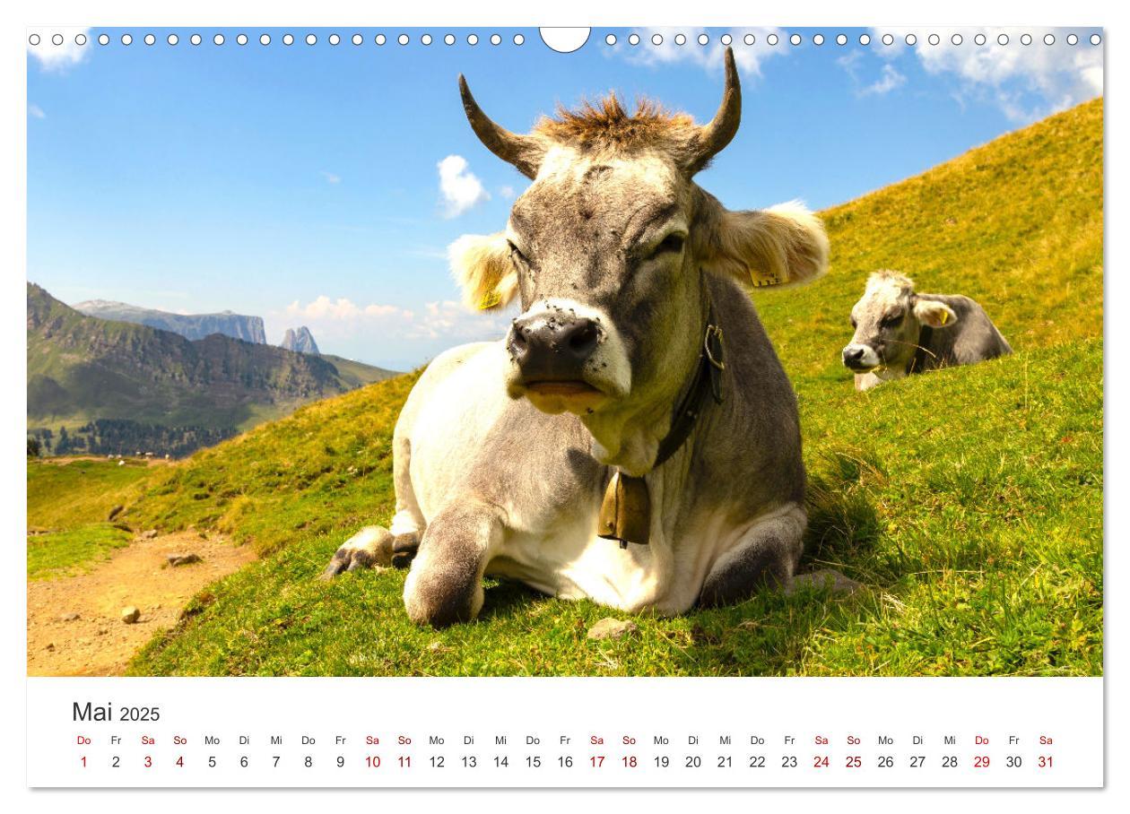 Bild: 9783383926808 | Seiser Alm - Im Herzen der Dolomiten. (Wandkalender 2025 DIN A3...