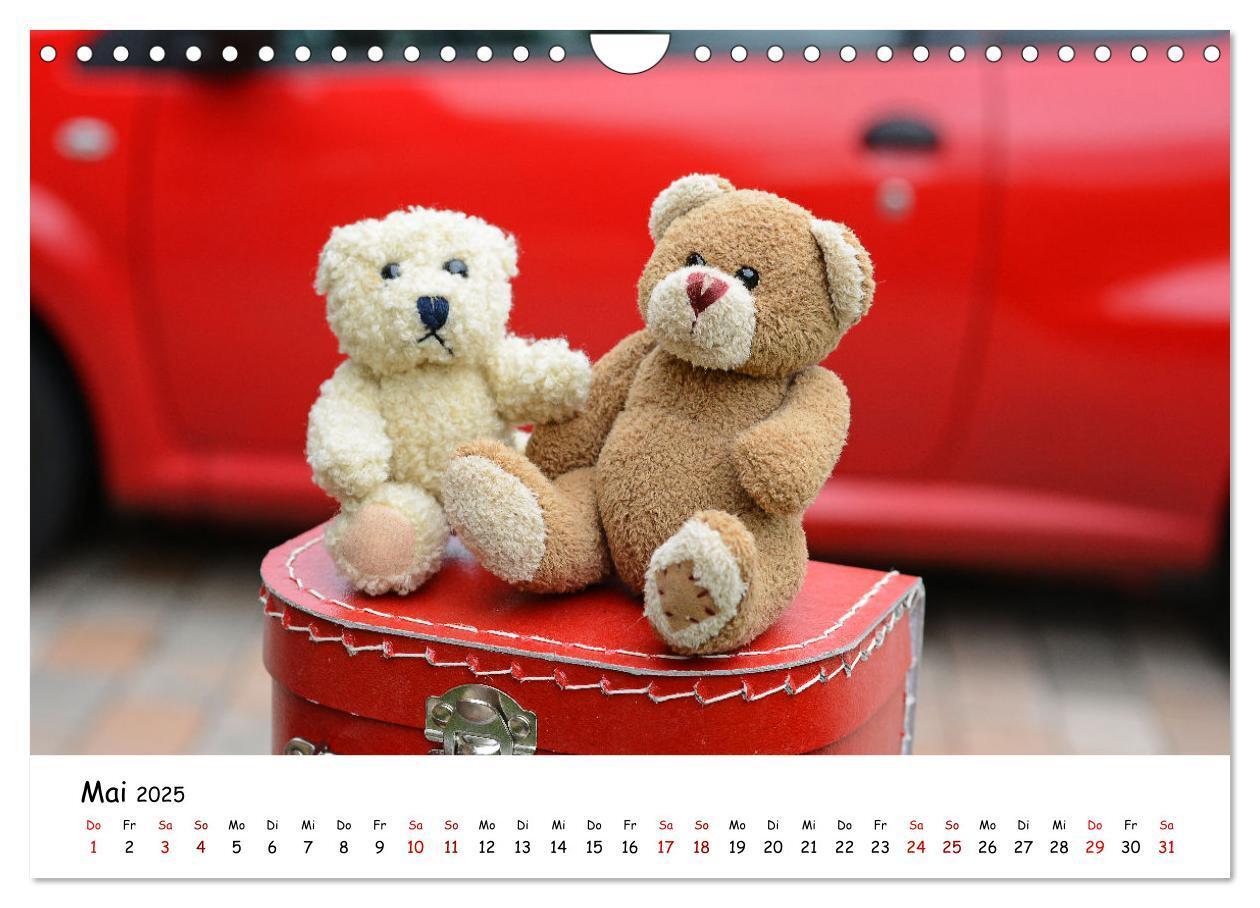 Bild: 9783383964954 | Allerliebste Teddybären (Wandkalender 2025 DIN A4 quer), CALVENDO...