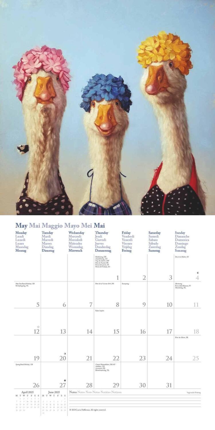 Bild: 4002725994196 | Funny Animals 2025 - Wand-Kalender - Broschüren-Kalender - 30x30 -...