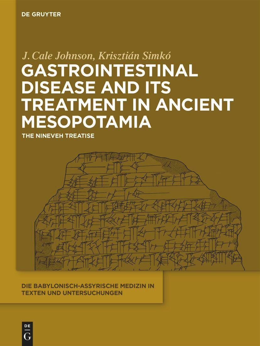 Cover: 9781501515262 | Gastrointestinal Disease and Its Treatment in Ancient Mesopotamia | VI