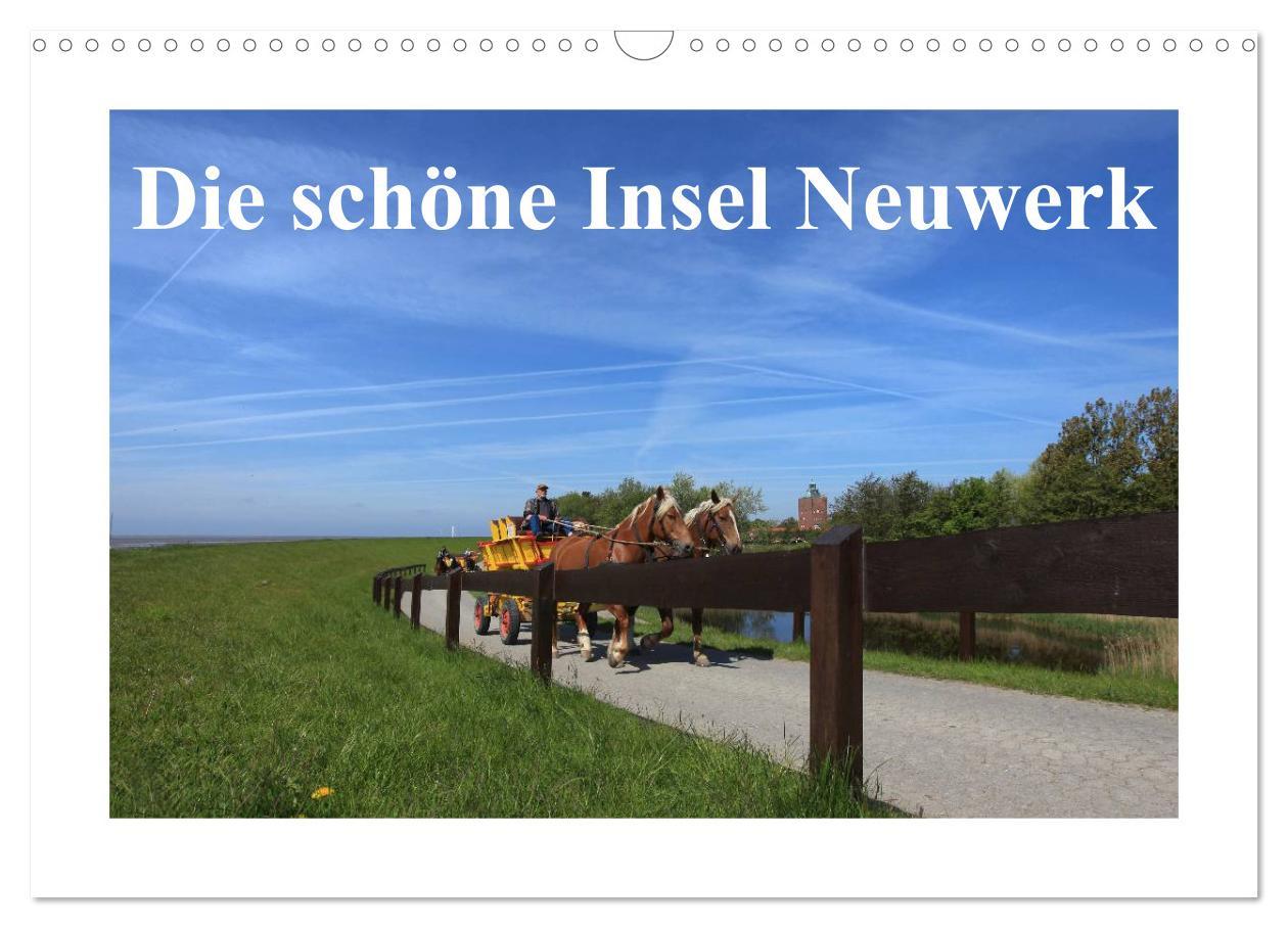 Cover: 9783435709670 | Die schöne Insel Neuwerk (Wandkalender 2025 DIN A3 quer), CALVENDO...