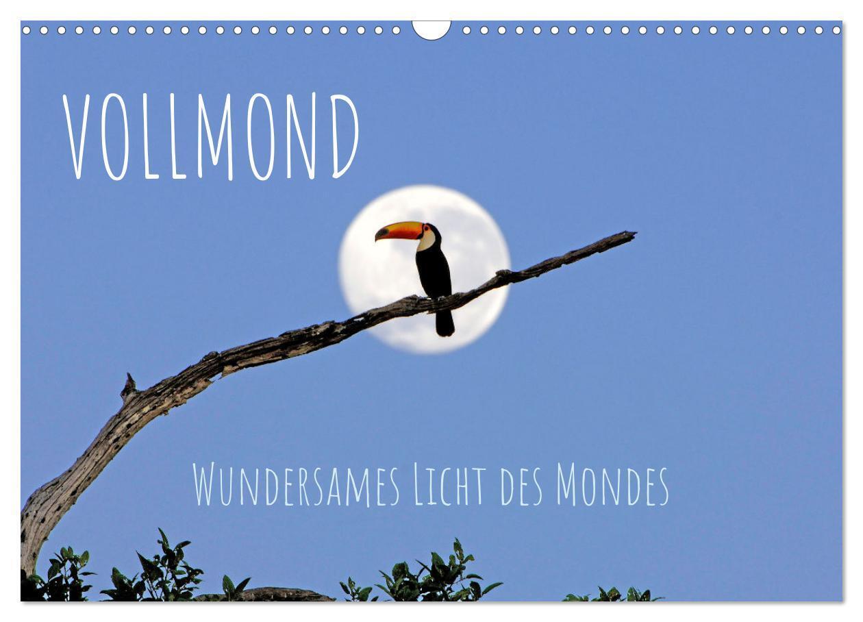 Cover: 9783435055920 | Vollmond: Wundersames Licht des Mondes (Wandkalender 2025 DIN A3...