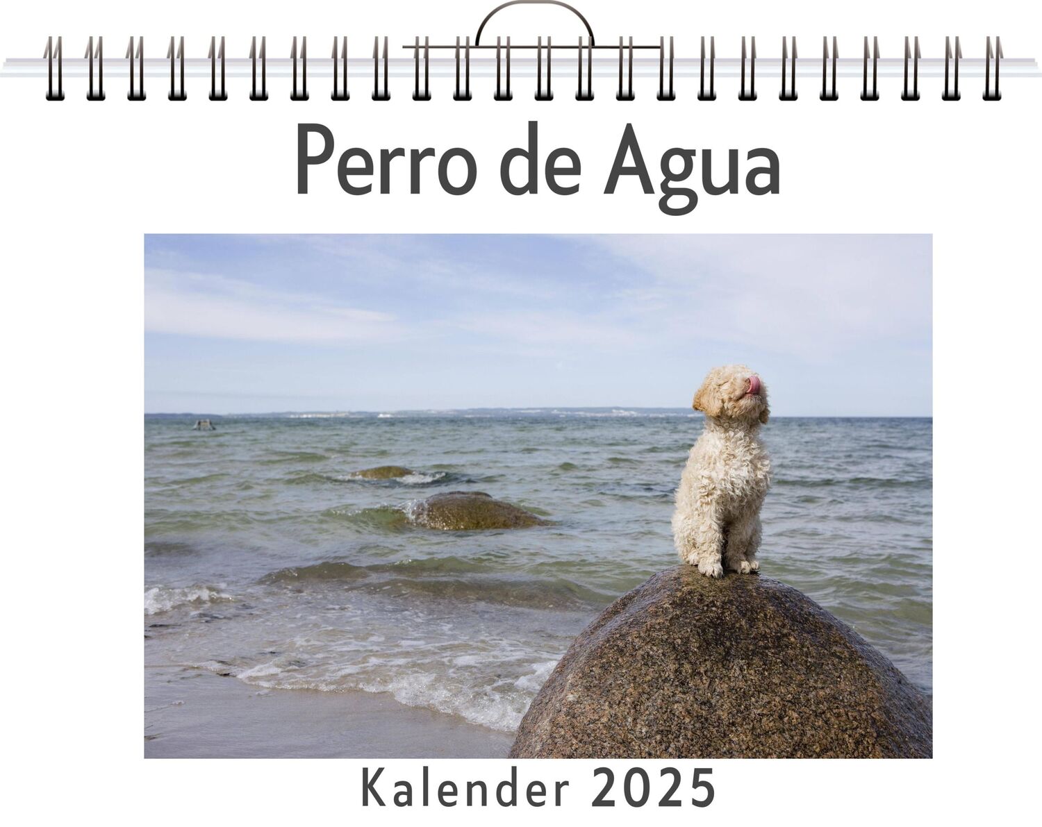 Cover: 9783759120441 | Perro de Agua | Amelia Richter | Kalender | Kalender | 14 S. | Deutsch