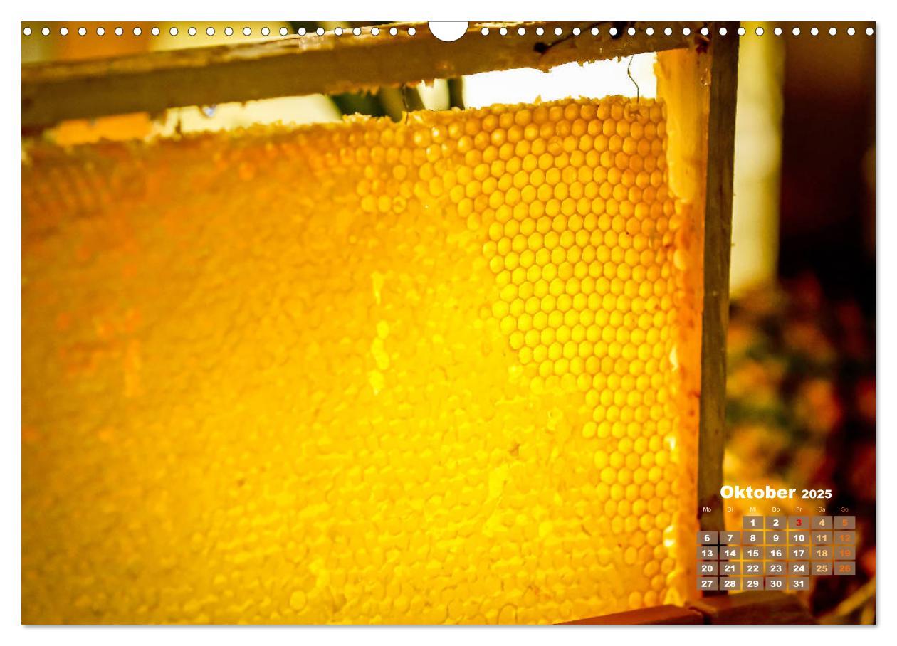 Bild: 9783435124855 | Ein Leben für den Honig - Bienen und Imker (Wandkalender 2025 DIN...