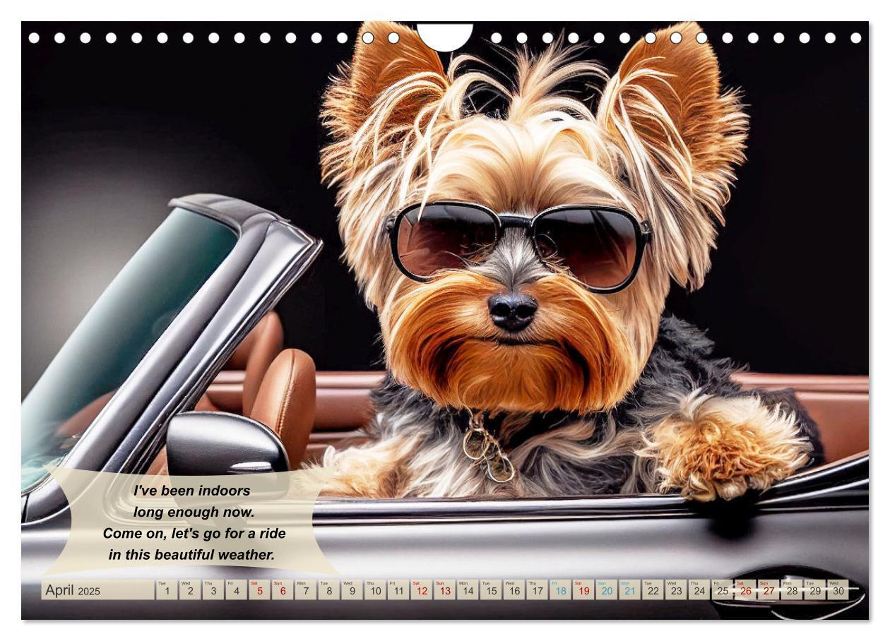 Bild: 9781325986002 | Great fun for Yorkshire Terrier lovers (Wall Calendar 2025 DIN A4...