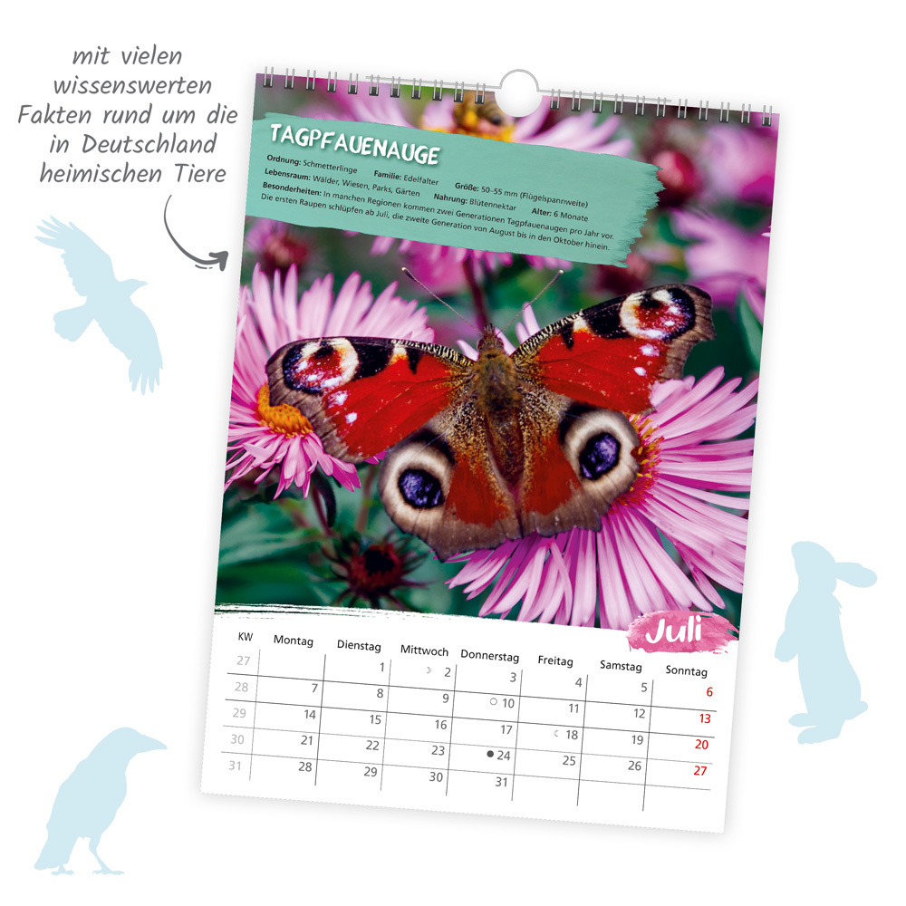 Bild: 9783988021984 | Trötsch Classickalender Heimische Tierwelt 2025 | Wandkalender | 24 S.