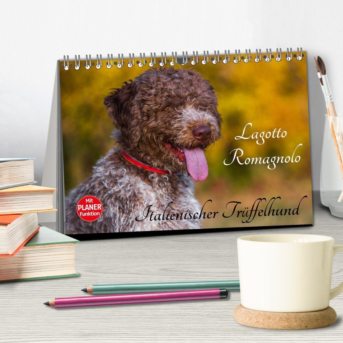 Bild: 9783435543854 | Lagotto Romagnolo - Italienischer Trüffelhund (Tischkalender 2025...