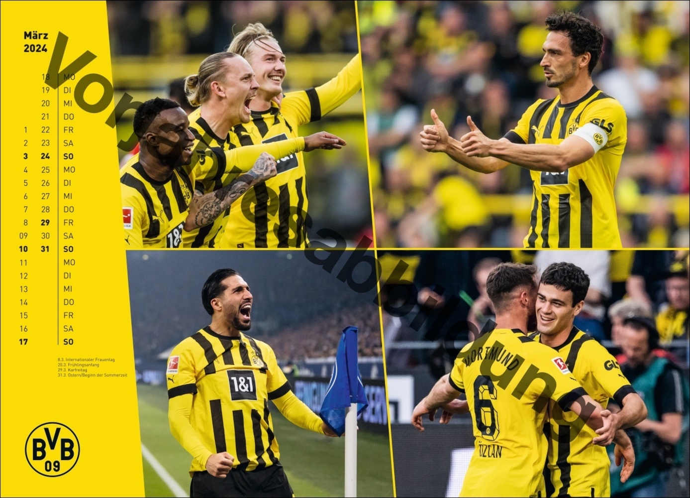 Bild: 9783756404735 | BVB Edition Kalender 2025 | Kalender | Spiralbindung | 14 S. | Deutsch