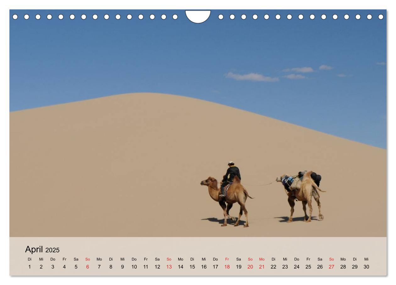 Bild: 9783435601035 | Kamele in der Wüstensonne (Wandkalender 2025 DIN A4 quer), CALVENDO...