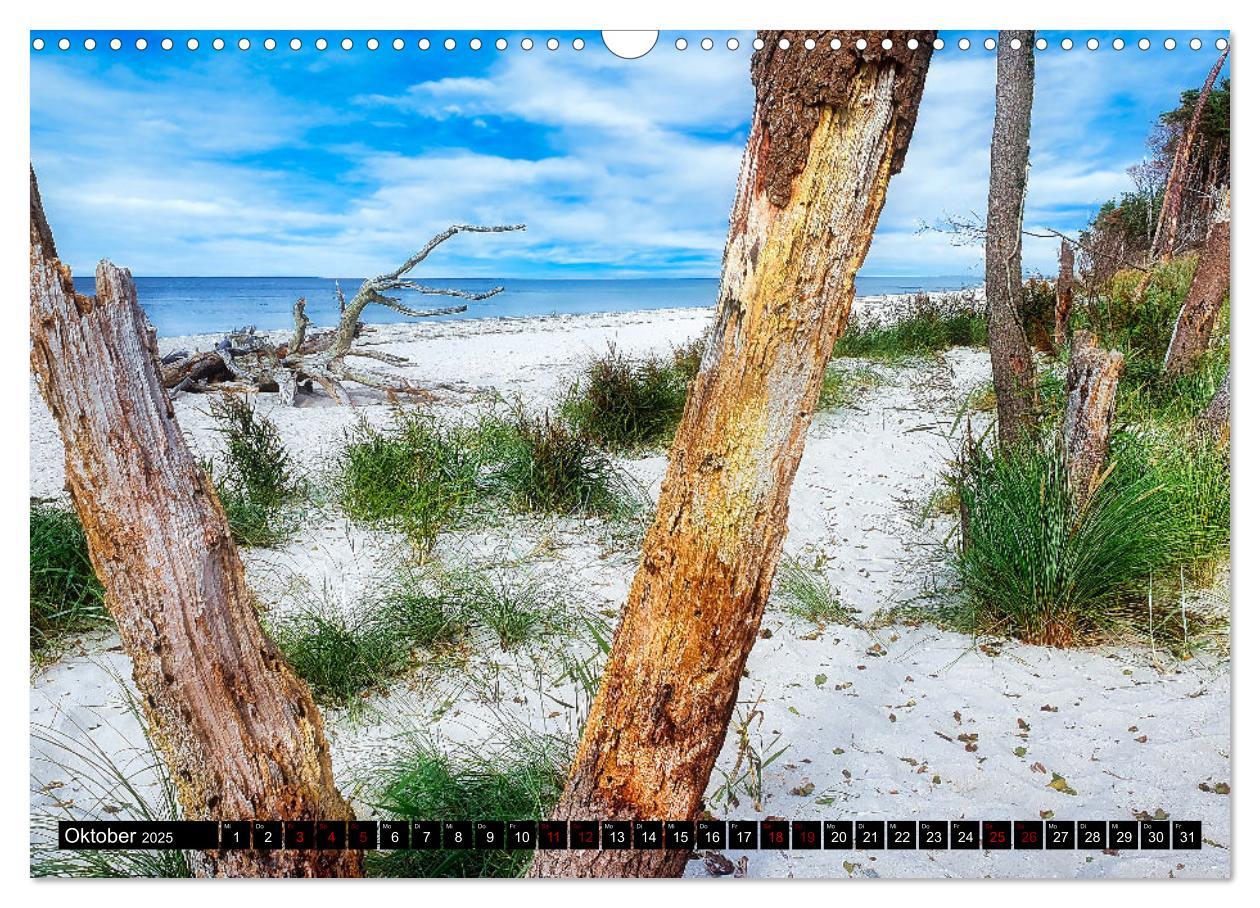 Bild: 9783435023943 | Fischland - Darß- Zingst (Wandkalender 2025 DIN A3 quer), CALVENDO...