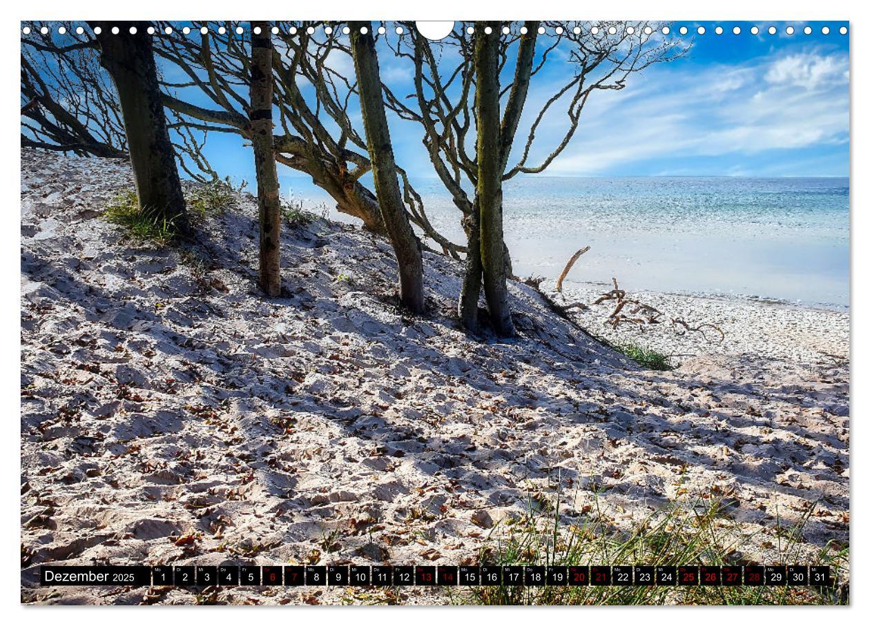 Bild: 9783435023943 | Fischland - Darß- Zingst (Wandkalender 2025 DIN A3 quer), CALVENDO...