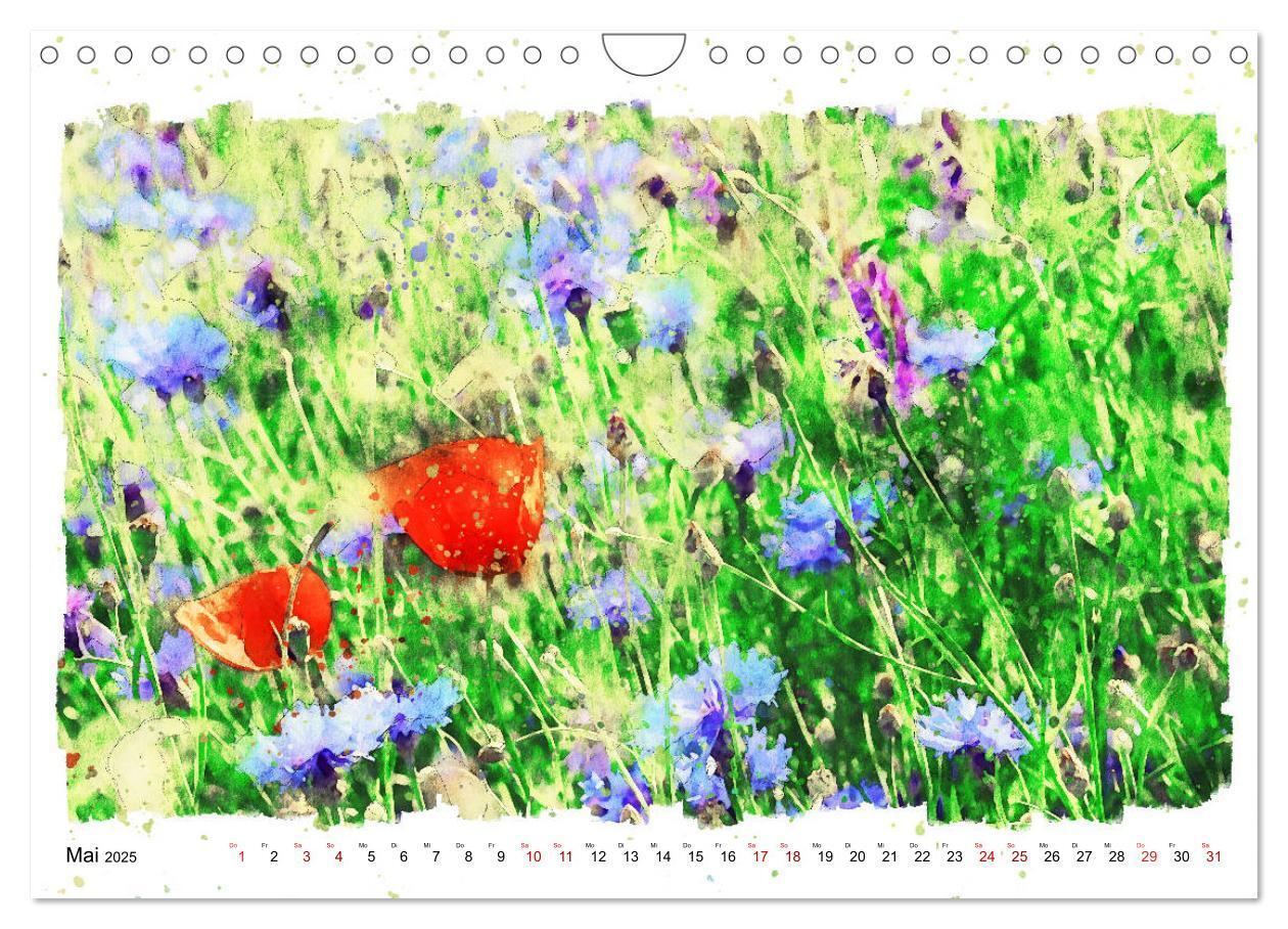 Bild: 9783435141241 | Mohnblüten in Aquarell (Wandkalender 2025 DIN A4 quer), CALVENDO...