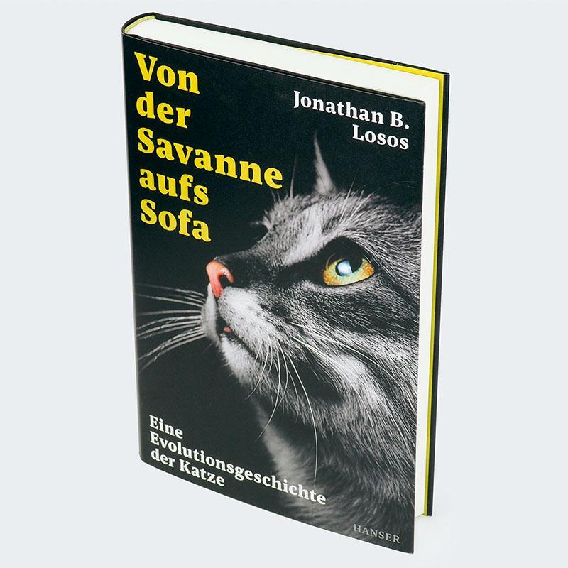 Bild: 9783446277632 | Von der Savanne aufs Sofa | Eine Evolutionsgeschichte der Katze | Buch