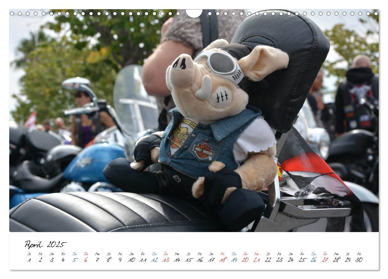 Bild: 9783435502004 | Harley Davidson - Details einer Legende (Wandkalender 2025 DIN A3...