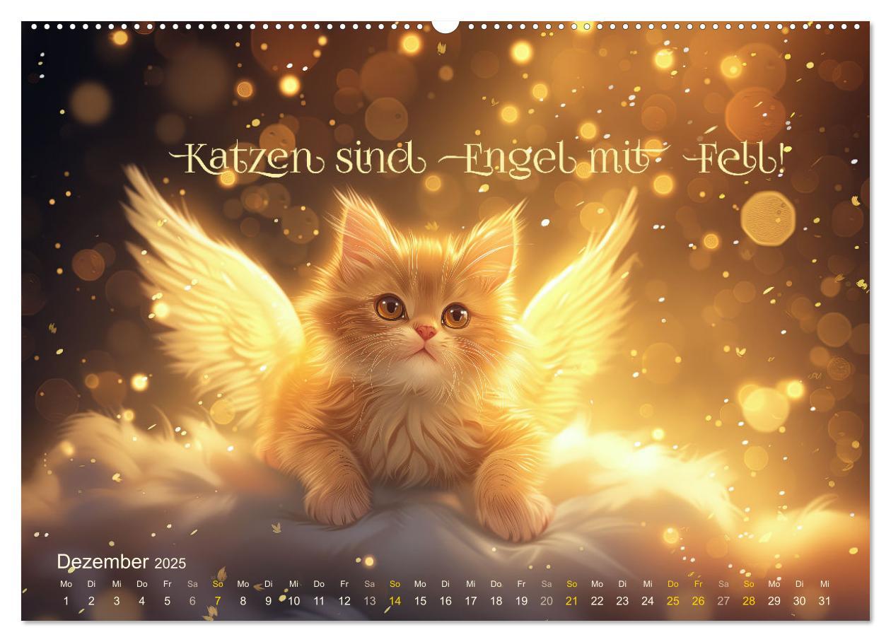 Bild: 9783383780325 | Samtpfotensprüche (Wandkalender 2025 DIN A2 quer), CALVENDO...