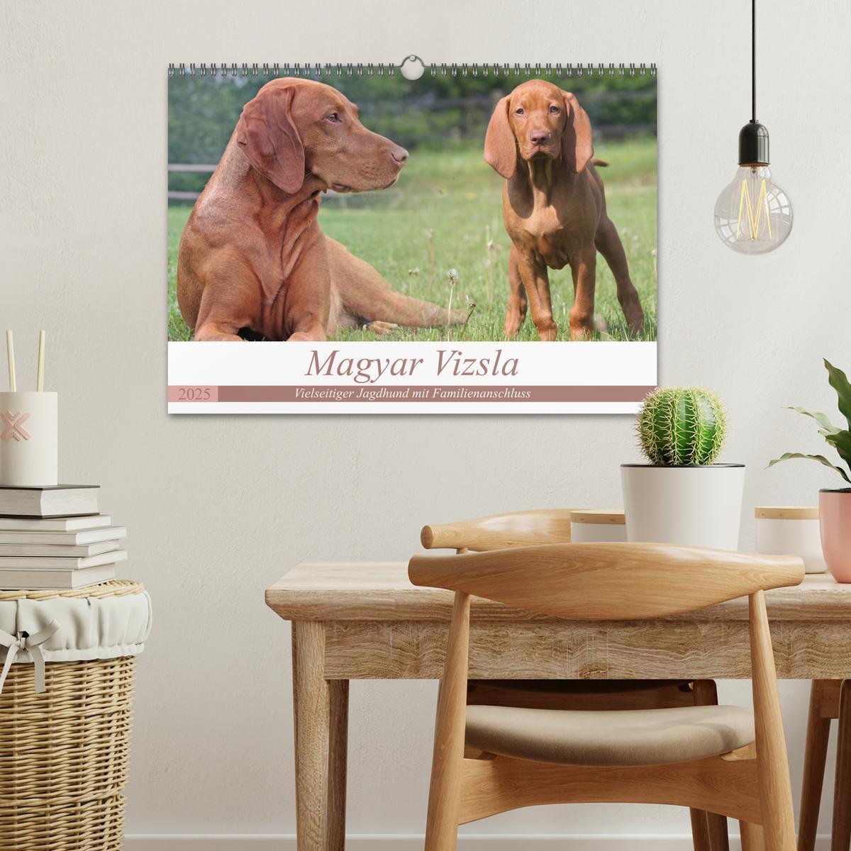 Bild: 9783435794508 | Magyar Vizsla - Vielseitiger Jagdhund mit Familienanschluss...