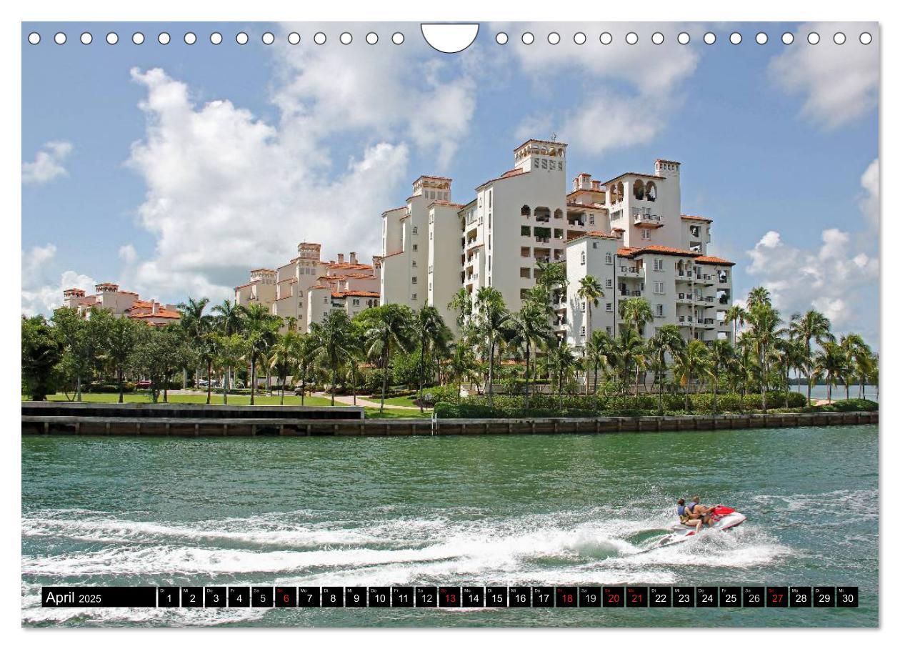 Bild: 9783435837533 | MIAMI (Wandkalender 2025 DIN A4 quer), CALVENDO Monatskalender | Damm