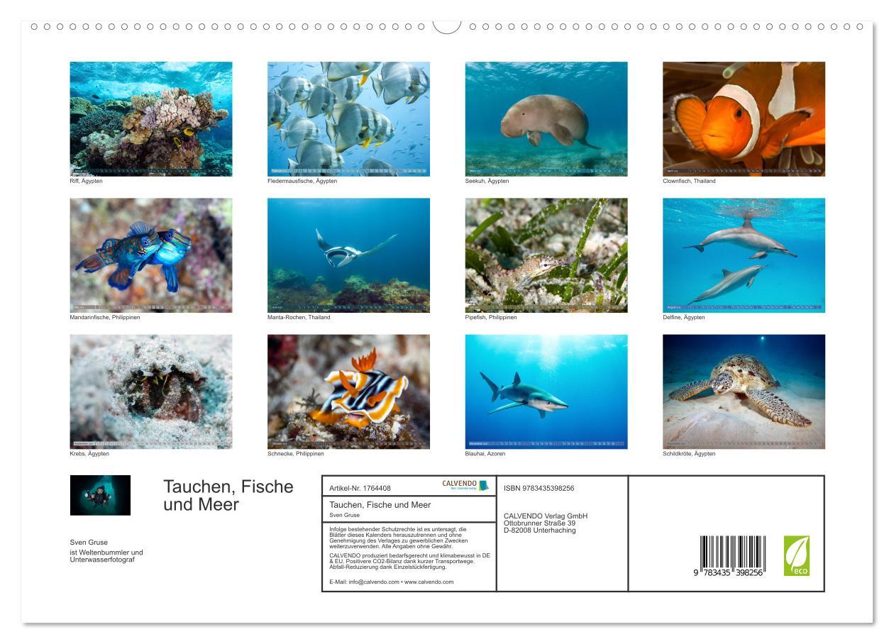 Bild: 9783435398256 | Tauchen, Fische und Meer (hochwertiger Premium Wandkalender 2025...