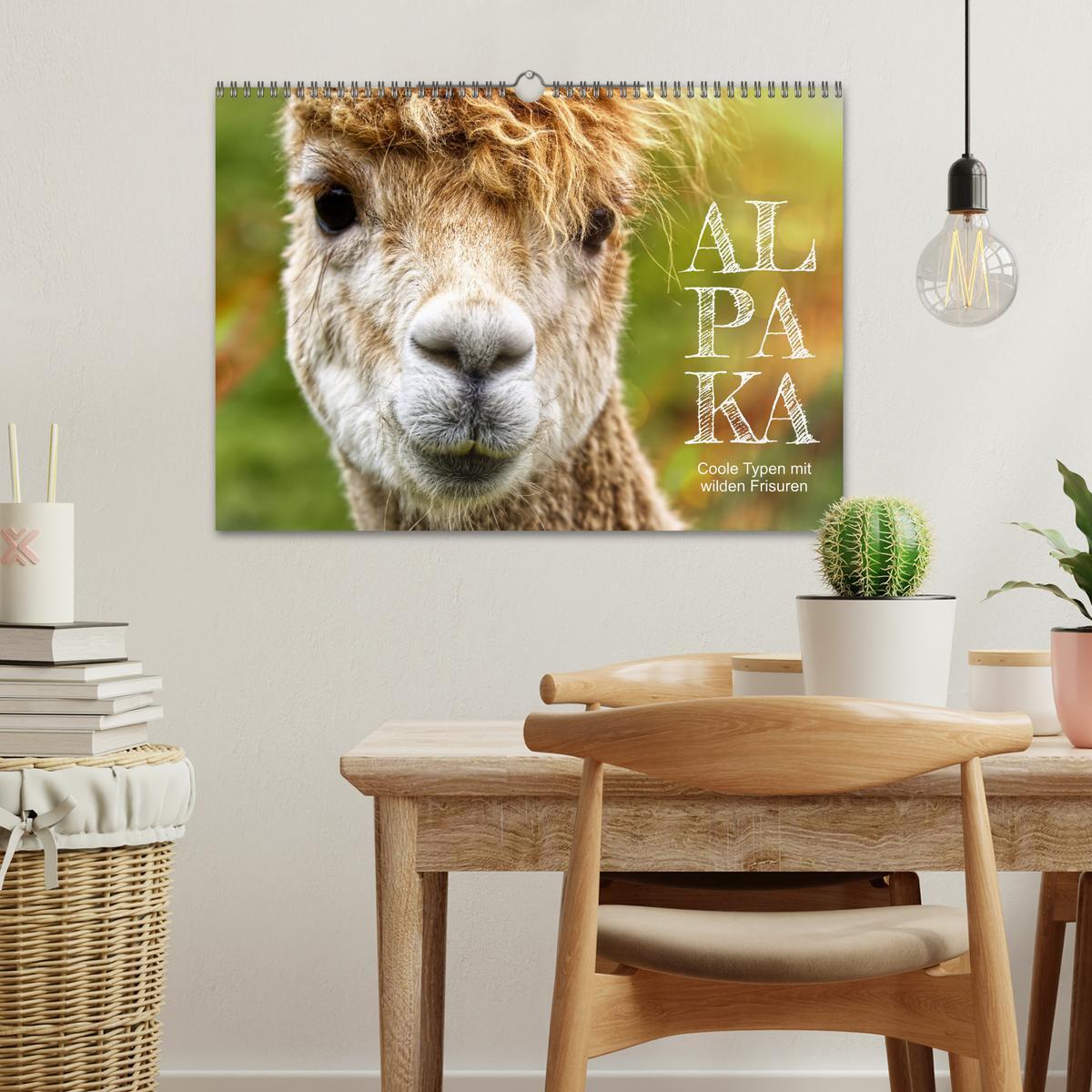 Bild: 9783383983573 | Alpaka, coole Typen mit wilden Frisuren (Wandkalender 2025 DIN A3...